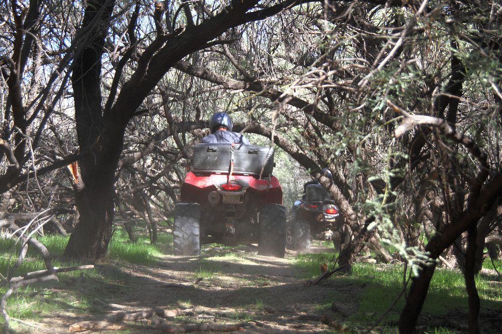 Kawasaki Teryx Trail Riding